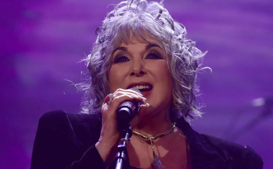 Ann Wilson at a concert